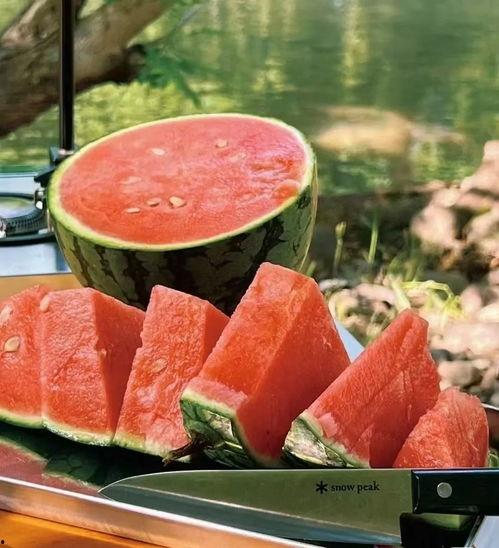 夏日吃瓜头像真人,揭秘吃瓜头像背后的真实人生