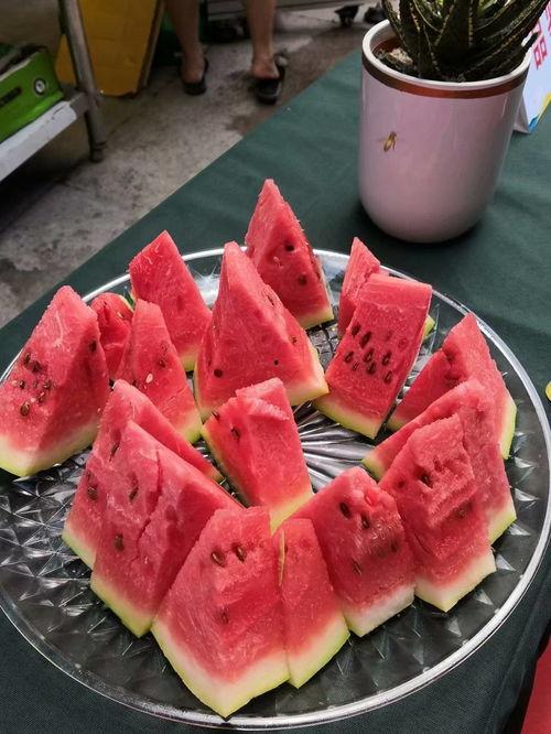 五一赛视频吃瓜,吃瓜群众围观选手们的“瓜”