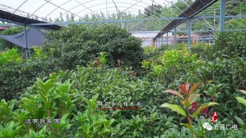 吃货吃八瓜鱼,吃货的味蕾盛宴