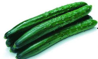 皮皮瓜怎么吃  第2张