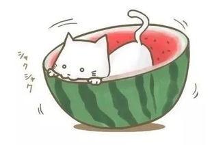 吃瓜看球图片,一场视觉盛宴的精彩瞬间  第1张