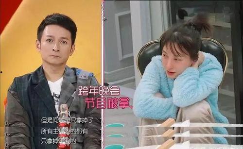 综艺心声吃瓜系统小说,揭秘明星背后的真实瓜田  第2张