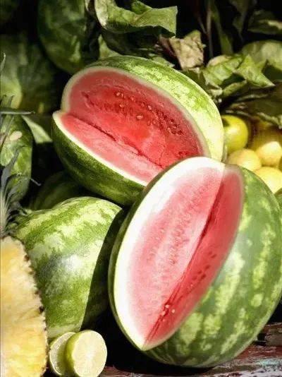 暑瓜怎么吃  第1张