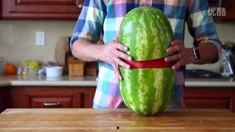 可以剥皮吃的瓜是什么瓜,揭秘可剥皮食用的瓜类  第3张