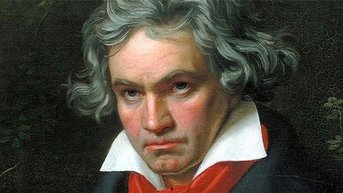 吃瓜少女贝多芬  第2张