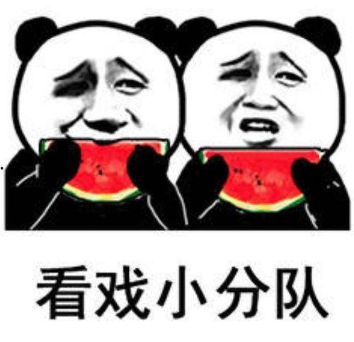 表情包关于吃瓜  第2张
