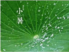 夏日吃瓜古诗,古韵诗中的清凉时光 第3张 夏日吃瓜古诗,古韵诗中的清凉时光 第3张