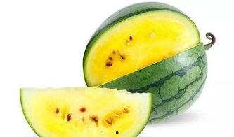 幼师瓜瓜吃瓜,幼师瓜瓜的甜蜜瓜果时光  第3张