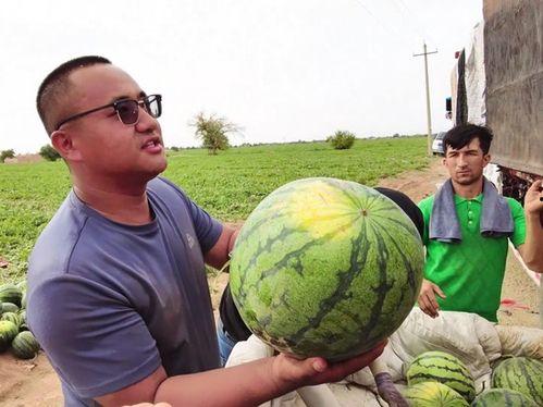 刘大壮吃瓜,揭秘娱乐圈幕后故事  第3张