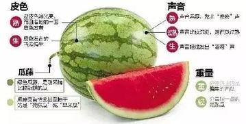 河北保定吃瓜死亡,一场意外引发的深思  第1张