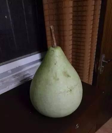 河北保定吃瓜死亡,一场意外引发的深思  第2张