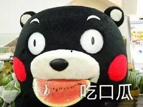 看剧吃瓜工具,解锁剧情新姿势  第3张