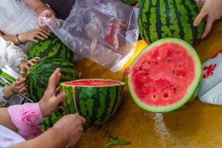 在水里吃瓜视频,一场别开生面的水下美食之旅  第2张