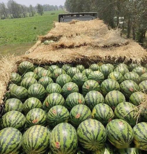 吃瓜大全2021,盘点娱乐圈那些事儿  第1张