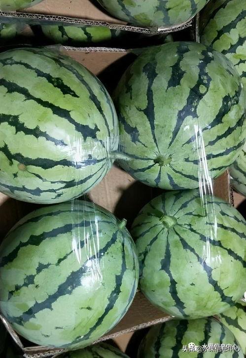 吃瓜大全2021,盘点娱乐圈那些事儿  第2张