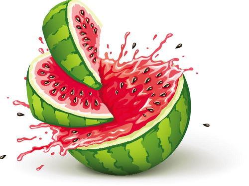 胖娃娃吃瓜,胖娃娃的甜蜜瓜果时光  第2张