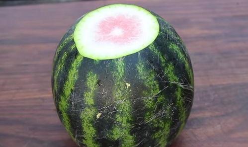 吃瓜哥哥吃饭图片,一顿饭的视觉盛宴  第3张