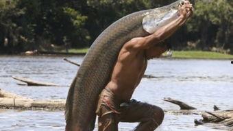 渔民吃瓜被点名  第3张