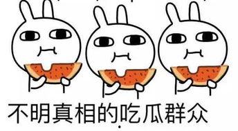 吃瓜蒙主谈风水,风水秘籍，家居布局的智慧之道  第2张