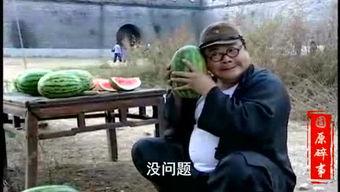 嘲笑旅客吃瓜视频  第3张