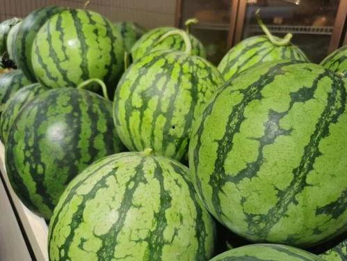 吃瓜顶流破防  第3张