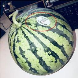 漳州网红吃瓜,揭秘当地美食圈热辣话题  第1张