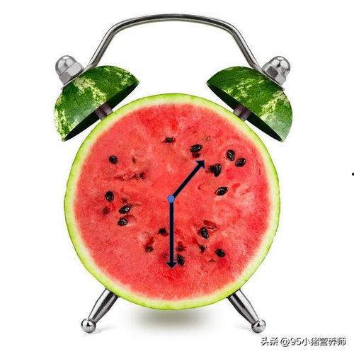 如何快乐吃瓜  第2张