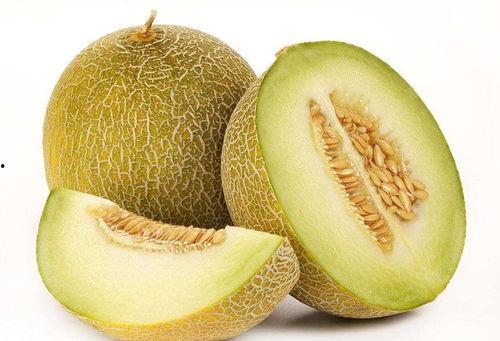 生病可以吃蜜瓜  第1张