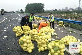 高速货车爆炸吃瓜  第1张