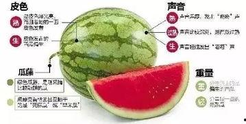 吃瓜微信区,热门话题背后的真相与笑料