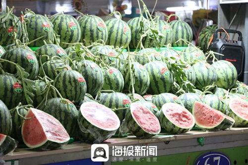 吉林青蛙吃瓜,探寻东北湿地生态奇观  第2张