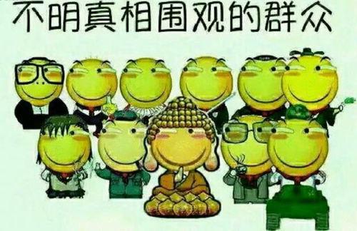 吃瓜群众vivi  第3张