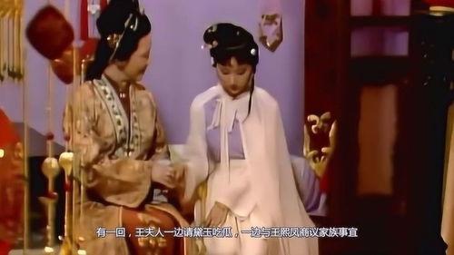 红楼吃瓜日常,揭秘贾府里的八卦风云  第3张