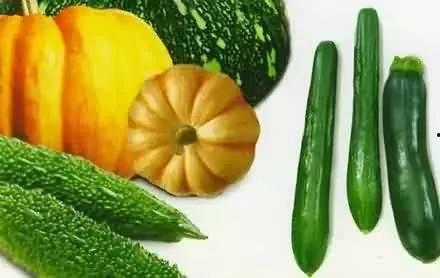 高血脂吃贝贝瓜,天然降脂美食的选择  第3张