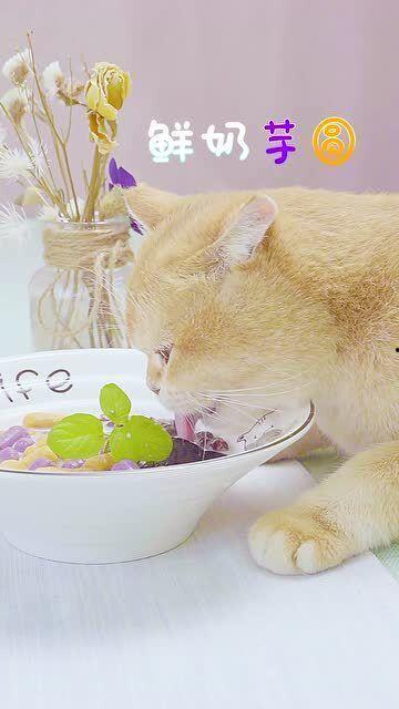 芋猫猫吃瓜,揭秘娱乐圈那些不为人知的幕后故事