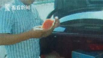 吃瓜群众看切瓜视频