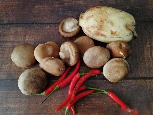 小菇吃瓜,揭秘网络热点的幕后故事  第3张