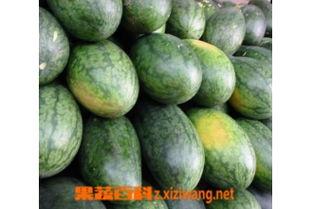 吃美人瓜,美味与营养的完美结合  第2张