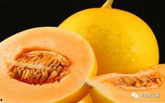 金蜜瓜是直接吃,甘甜多汁，尽享自然美味