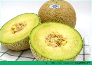 移植后吃哈密瓜好吗,移植后适宜食用哈密瓜吗？  第2张