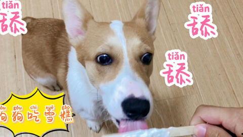 吃瓜主人和吃瓜狗一样吗,趣味对比，揭秘两者相似之处  第3张