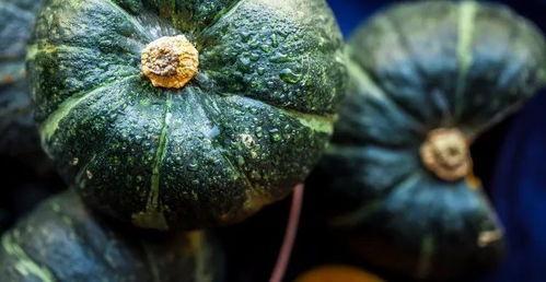 南瓜凯吃瓜视频,揭秘娱乐圈幕后故事  第2张