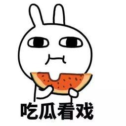 吃瓜告白  第1张