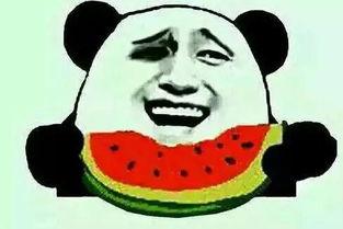 吃瓜告白  第2张