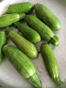 吃瓜该如何制作,轻松掌握制作美味瓜果秘诀  第2张