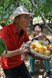 新密吃瓜新闻,揭秘当地热点事件背后的真相  第2张